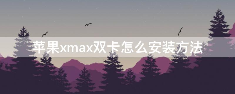 iPhonexmax双卡怎么安装方法（iphonxmax双卡怎么插）