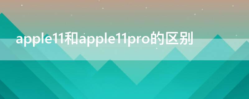 apple11和apple11pro的区别（iphone11与11pro的区别）