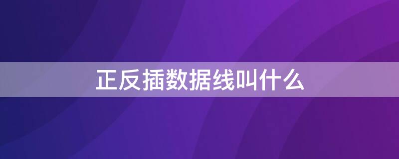 正反插数据线叫什么（正反插的数据线叫什么）