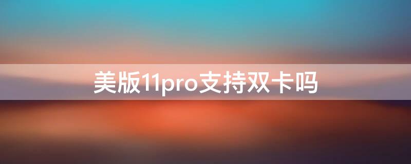 美版11pro支持双卡吗 iphone13pro支持双卡吗