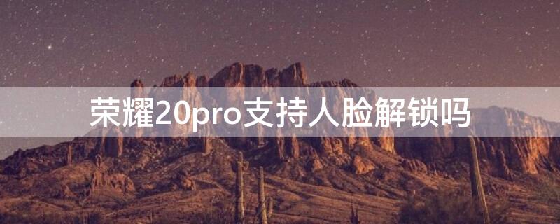 荣耀20pro支持人脸解锁吗（荣耀20pro有人脸解锁吗）