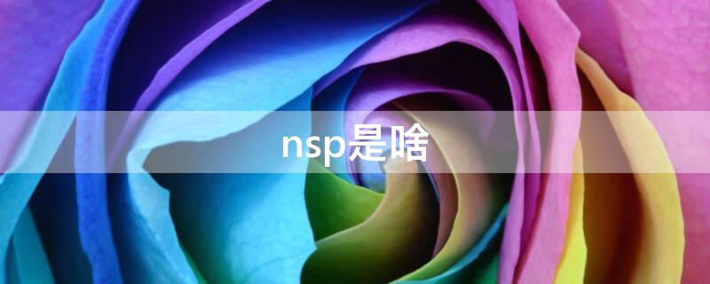 nsp是啥