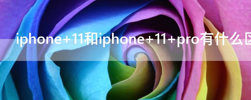 iPhone 11和iPhone 11 pro有什么区别
