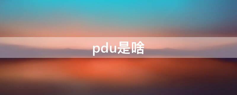 pdu是啥（pdu是啥意思）