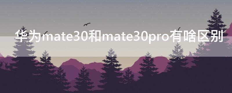 华为mate30和mate30pro有啥区别 华为mate30和mate30pro哪个更值得入手