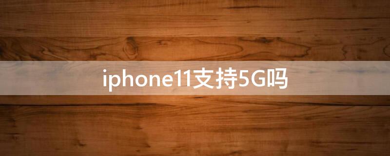 iPhone11支持5G吗 苹果11支持5g功能吗
