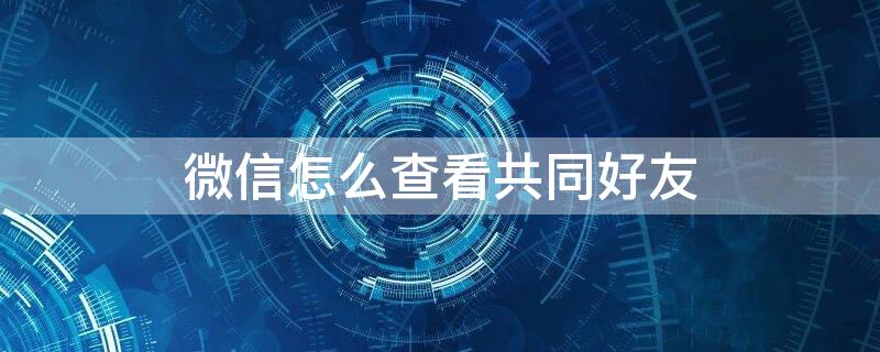 微信怎么查看共同好友（微信怎么查看共同好友方法教程）