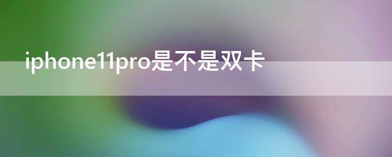 iPhone11pro是不是双卡（iphone11pro是双卡双待手机吗）