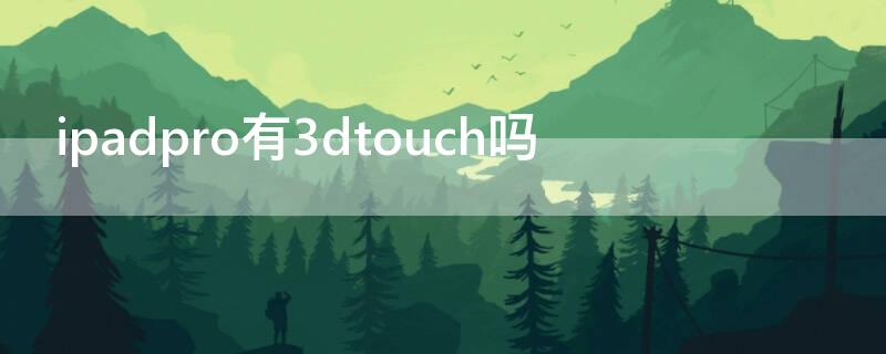 ipadpro有3dtouch吗（ipadpro有3dtouch功能吗）