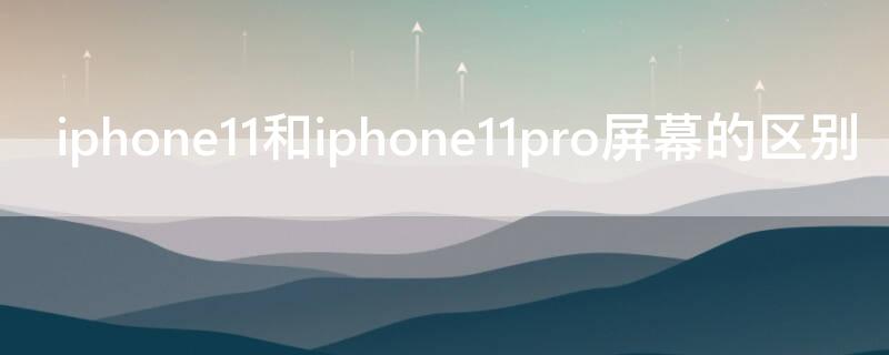 iPhone11和iPhone11pro屏幕的区别 apple11和11pro屏幕区别
