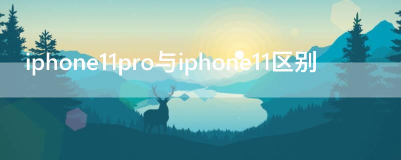 iPhone11pro与iPhone11区别 iphone11pro和iphone11有啥区别