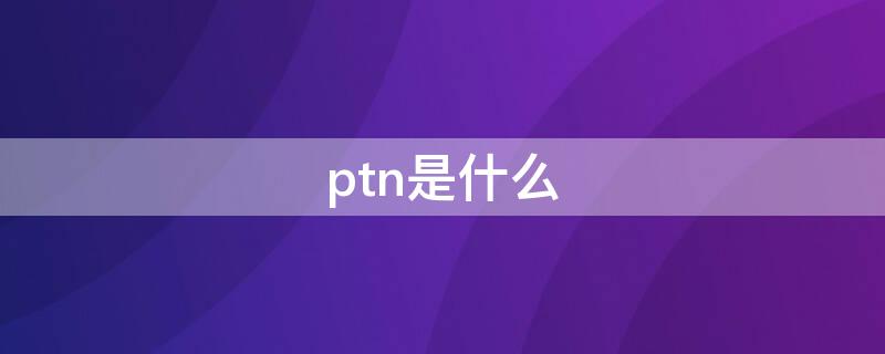 ptn是什么 ptn spn