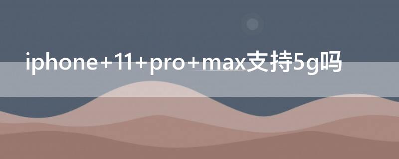 iPhone 11 pro max支持5g吗