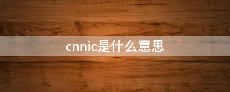 cnnic是什么意思 cnnlc是什么意思