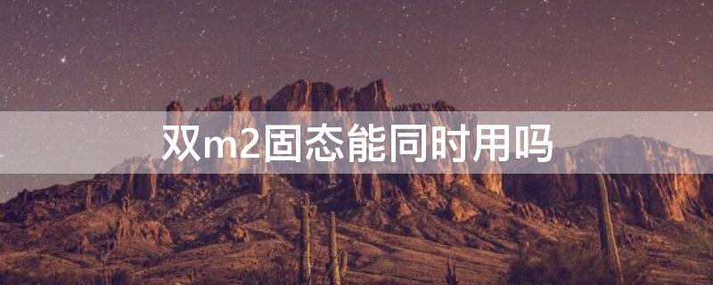 双m2固态能同时用吗（双m2固态硬盘）