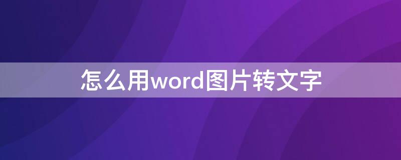 怎么用word图片转文字