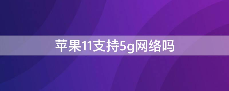 iPhone11支持5g网络吗（iphone13开启5g）