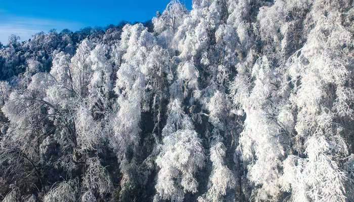 雪融化的诗句