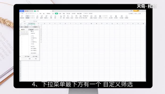 excel表格筛选条件在哪里设置