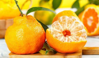 丑橘和耙耙柑区别 丑橘和耙耙柑有啥区别