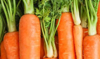 胡萝卜可以放冰箱保存吗 胡萝卜可以放冰箱吗放冰箱里保存吗
