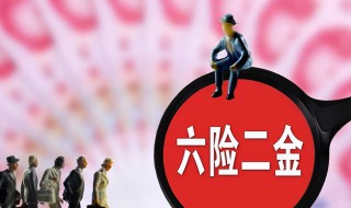 六险一金指的是哪六险（六险一金指的是哪六险2金）