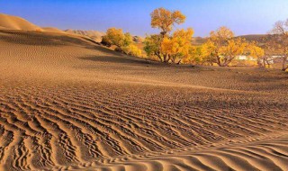 历史上的沙漠未解之谜 中国沙漠未解之谜