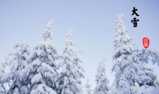 关于大雪节气的诗句有哪些（关于大雪节气的古诗大全）