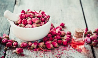 食用鲜玫瑰花可以冷冻吗（鲜玫瑰花冷冻起来还有用吗）