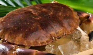 面包蟹怎么保存到第二天 面包蟹保存一晚