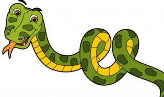 响尾蛇属于哪种动物（响尾蛇是什么蛇类）