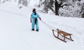 滑雪板上固定器的别称是什么（滑雪板固定器的特殊之处）