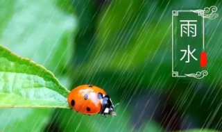 小雨是什么节气 24节气小雨的含义