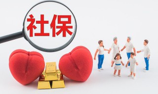 社保ca是 社保ca是什么