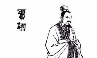 三国中贾诩的字是什么（三国中的贾诩是什么人物）