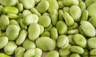 新鲜嫩蚕豆怎么保存到冬天吃（新鲜蚕豆放在冷冻里面怎么保存）