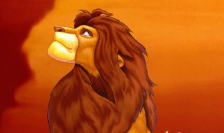 狮子王为什么只有一只公狮子 为什么狮子王里只有一只雄狮子