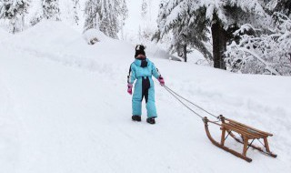 滑雪运动和溜冰运动有什么区别 滑雪和溜冰的区别