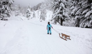 滑雪运动起源于什么地方（滑雪运动的发源地）