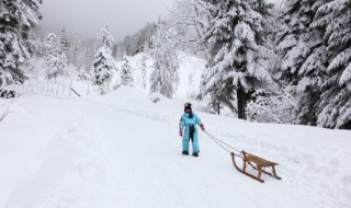 新手第一次滑雪注意哪些事项 第一次滑雪应该怎么滑