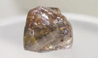 本身的元素与金刚石一样的矿物质是（本身的元素与金刚石一样的矿物质是水霉菌）