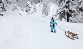 哈尔滨到雪乡旅游攻略 哈尔滨旅雪乡游攻略冬季自由行