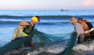 地下水养鱼怎么处理水（地下水可以直接养鱼吗）