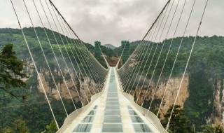 世界上最大的吊桥是哪一个（中国最大的吊桥）