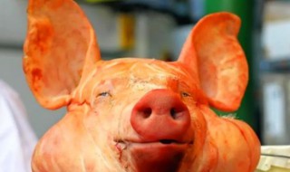 梦见吃猪头是什么征兆 梦见吃猪头是什么预兆