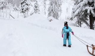 东北雪乡旅游攻略（东北雪乡自助游攻略）