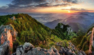 龙虎山和庐山哪个更好玩（庐山好玩还是井冈山好玩）