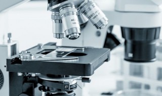 显微镜使用的基本常识都包括哪些 显微镜使用的基本常识都包括哪些内容