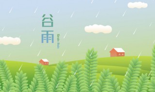 谷雨可以干什么（谷雨能干什么）