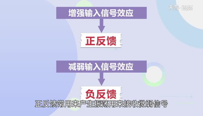 反馈的意思